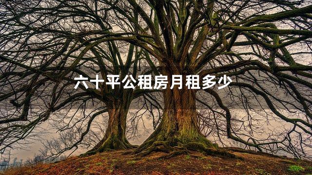 六十平公租房月租多少