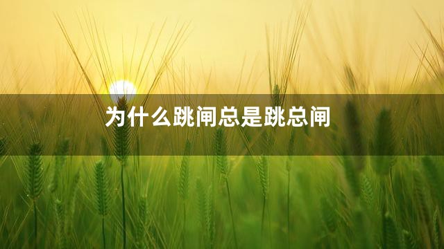 为什么跳闸总是跳总闸