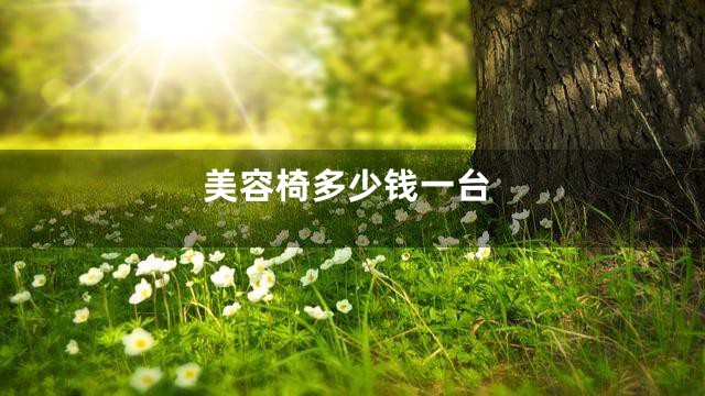 美容椅多少钱一台