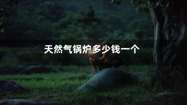 天然气锅炉多少钱一个