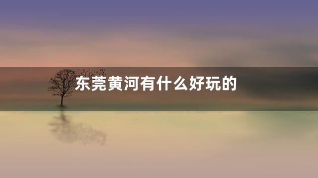 东莞黄河有什么好玩的