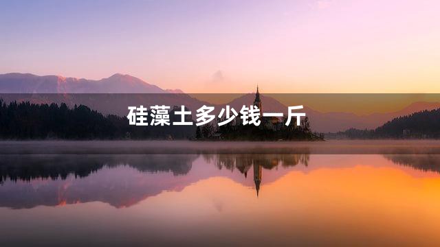 硅藻土多少钱一斤