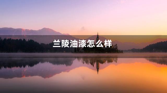 兰陵油漆怎么样