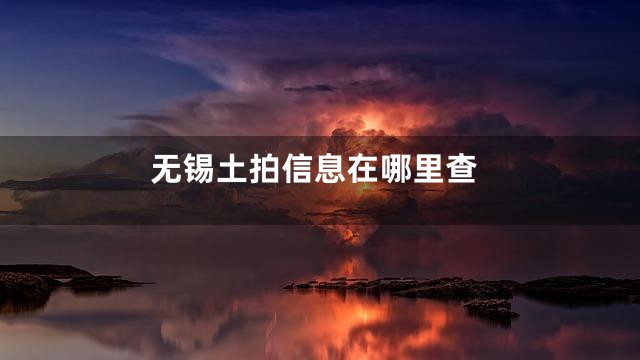 无锡土拍信息在哪里查