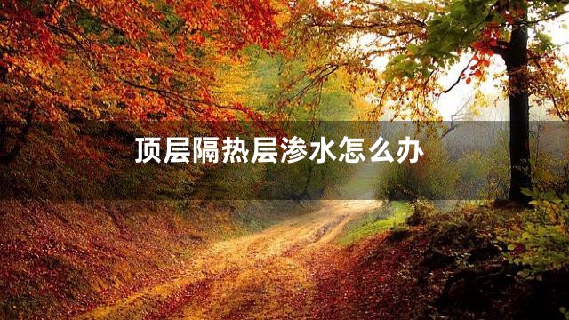 顶层隔热层渗水怎么办