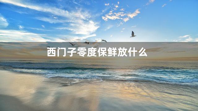 西门子零度保鲜放什么