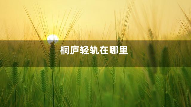 桐庐轻轨在哪里