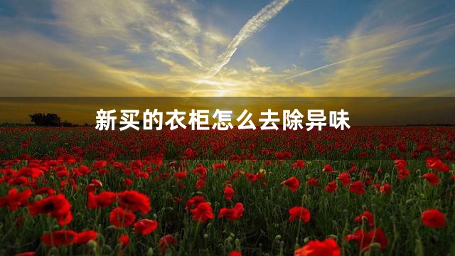 新买的衣柜怎么去除异味
