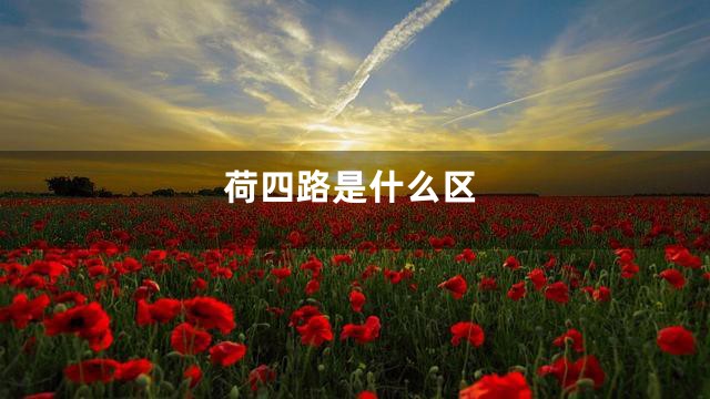 荷四路是什么区