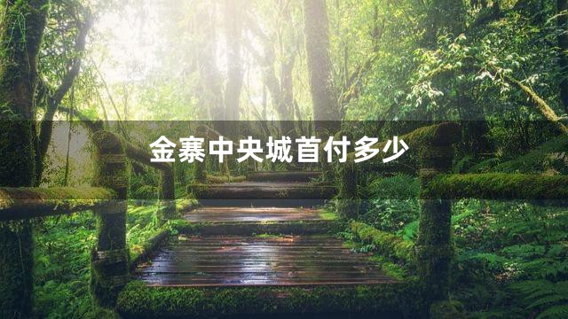 金寨中央城首付多少