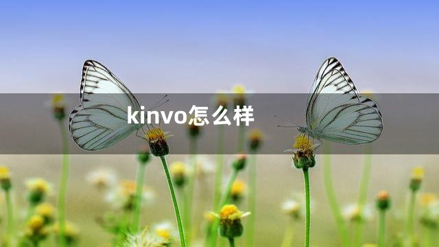 kinvo怎么样
