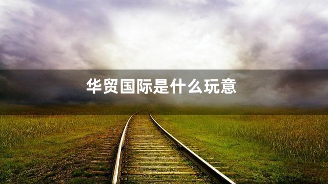 华贸国际是什么玩意