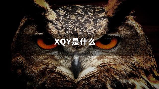 XQY是什么