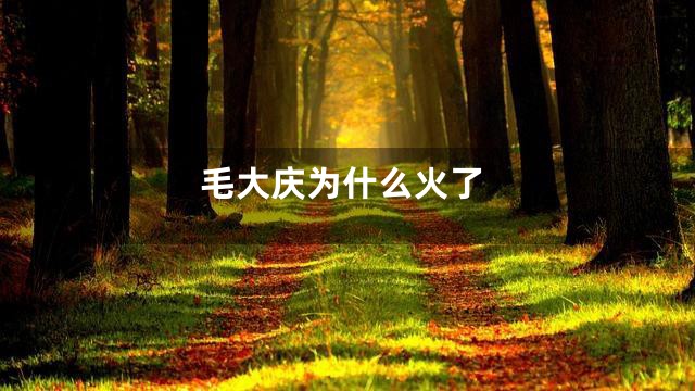 毛大庆为什么火了