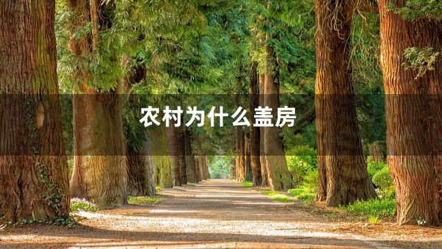农村为什么盖房