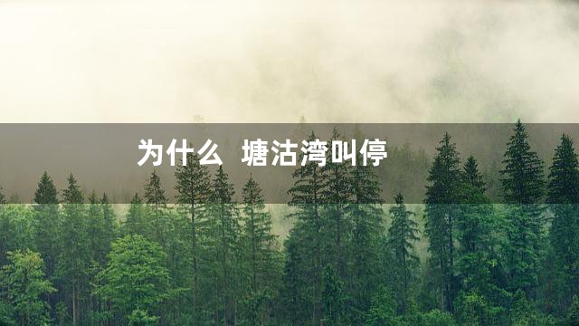 为什么  塘沽湾叫停