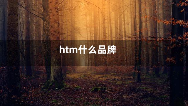 htm什么品牌