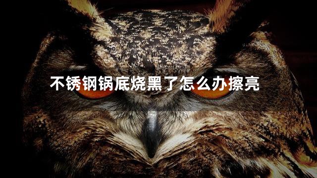 不锈钢锅底烧黑了怎么办擦亮