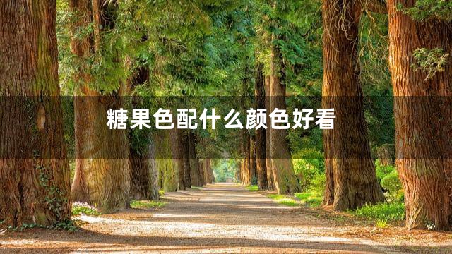 糖果色配什么颜色好看