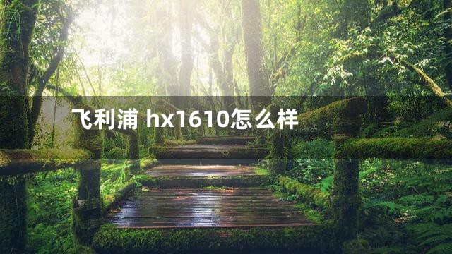 飞利浦 hx1610怎么样
