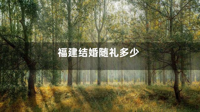 福建结婚随礼多少