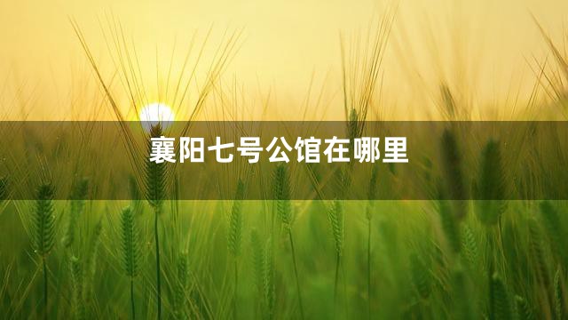 襄阳七号公馆在哪里