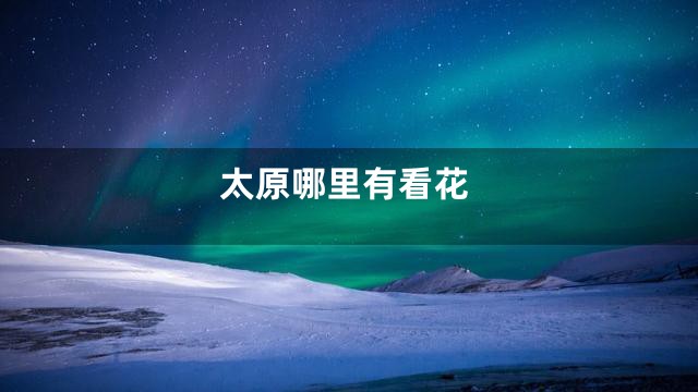 太原哪里有看花