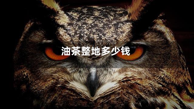 油茶整地多少钱