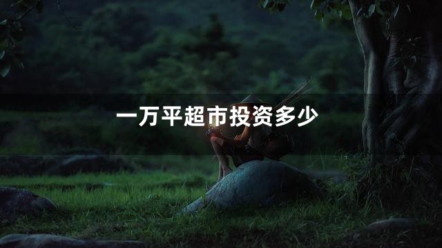 一万平超市投资多少