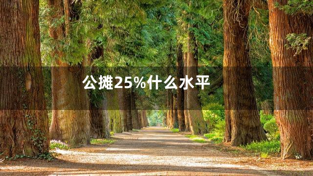 公摊25%什么水平
