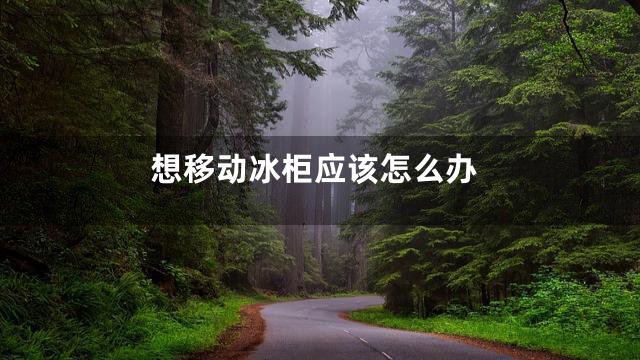 想移动冰柜应该怎么办