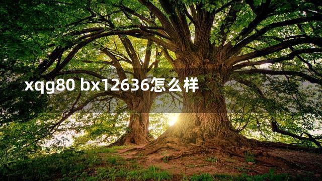 xqg80 bx12636怎么样