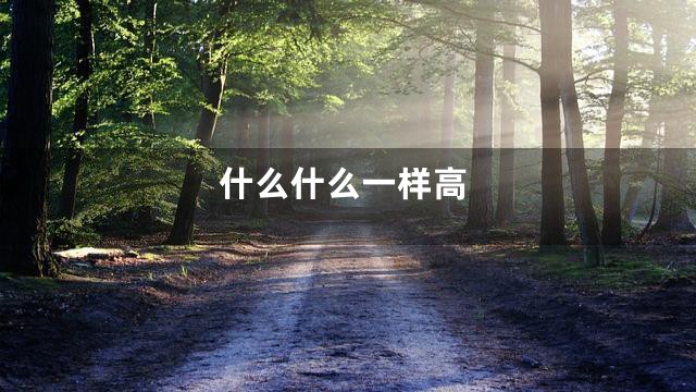什么什么一样高