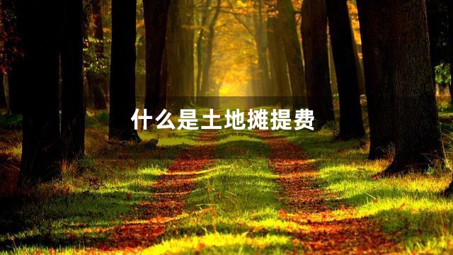 什么是土地摊提费