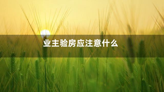 业主验房应注意什么