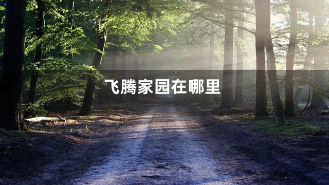 飞腾家园在哪里