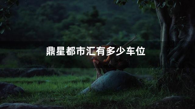 鼎星都市汇有多少车位