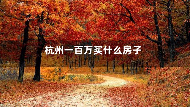 杭州一百万买什么房子