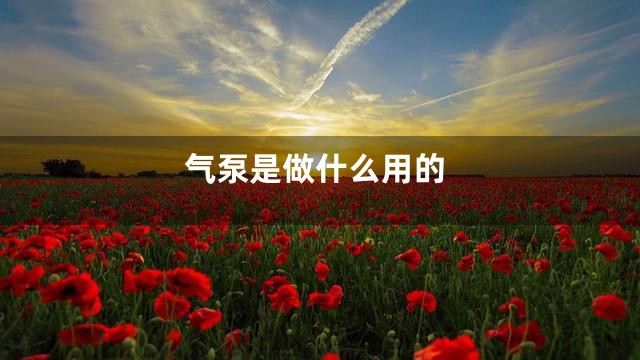 气泵是做什么用的