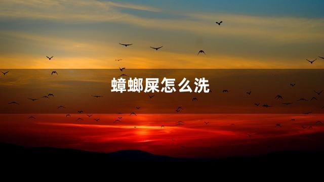 蟑螂屎怎么洗