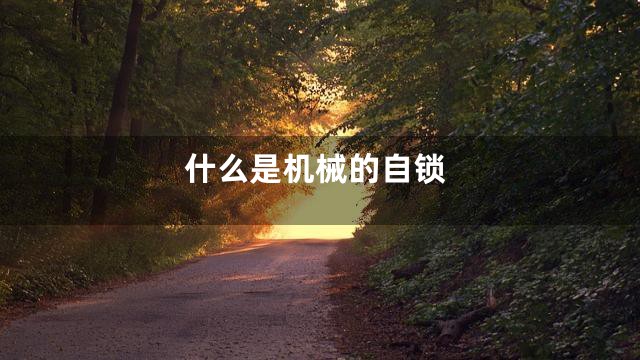 什么是机械的自锁