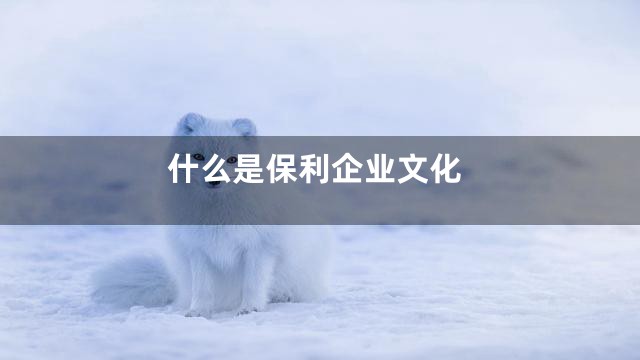 什么是保利企业文化