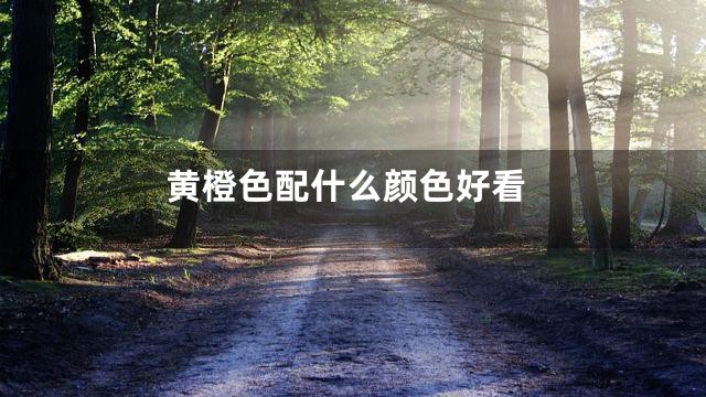 黄橙色配什么颜色好看