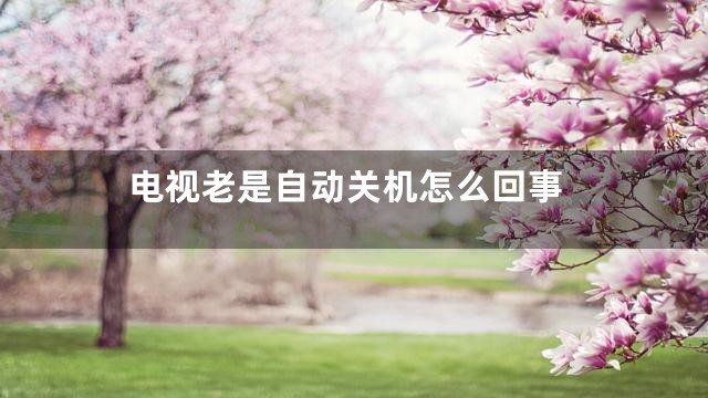 电视老是自动关机怎么回事