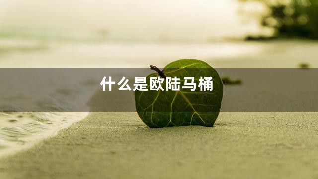 什么是欧陆马桶