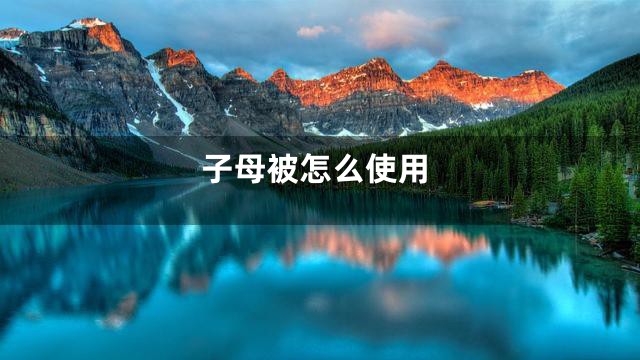 子母被怎么使用