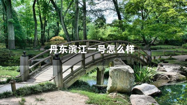 丹东滨江一号怎么样