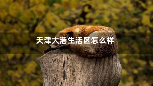 天津大港生活区怎么样