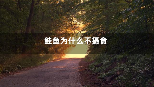 鲑鱼为什么不摄食