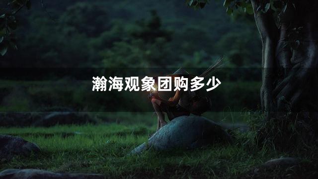 瀚海观象团购多少